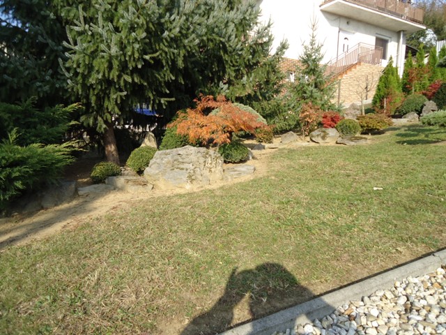 DSC02054